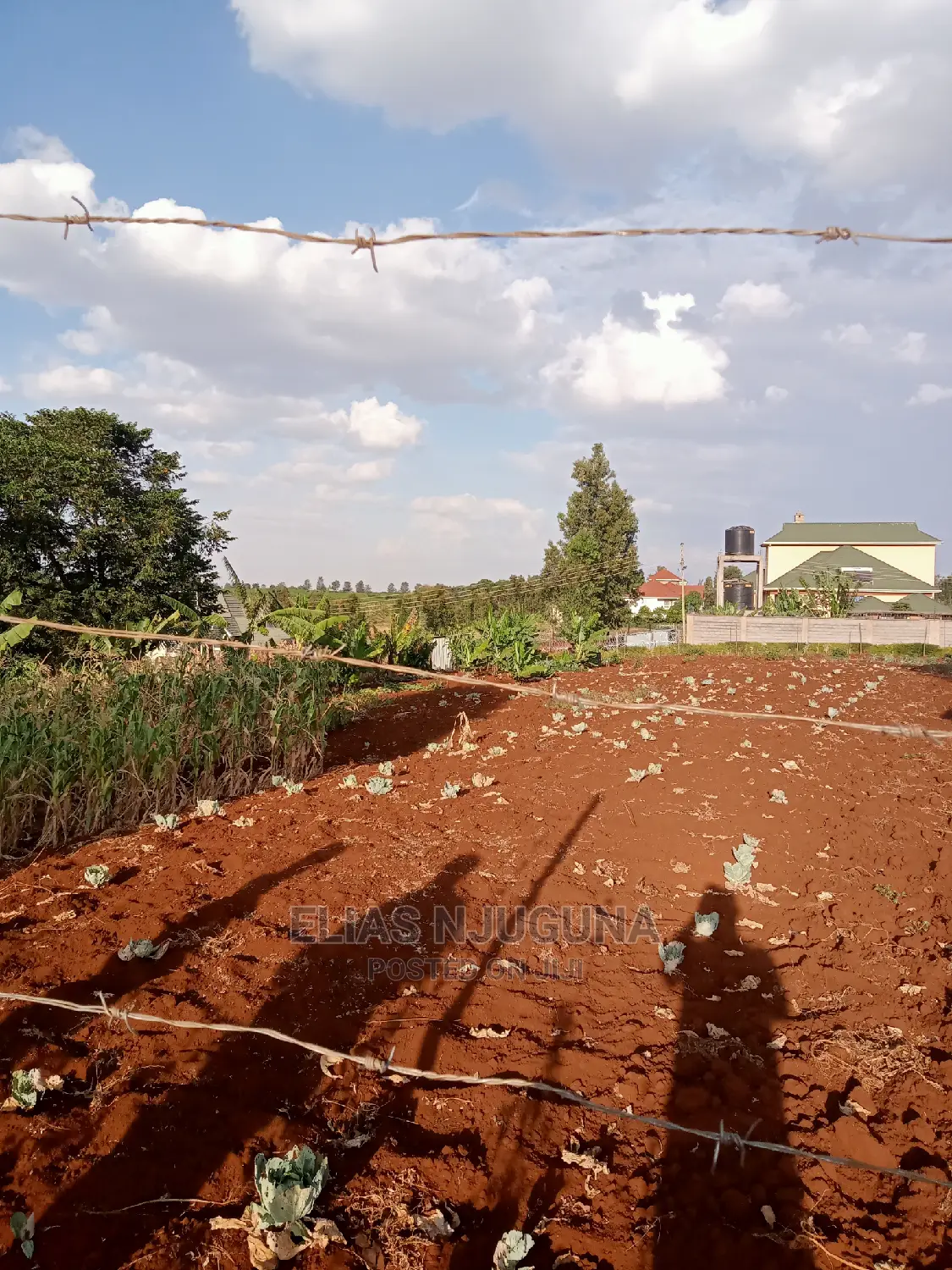 Kiambu Road 1/2acre : Green Valley Estate Price 18M , Title