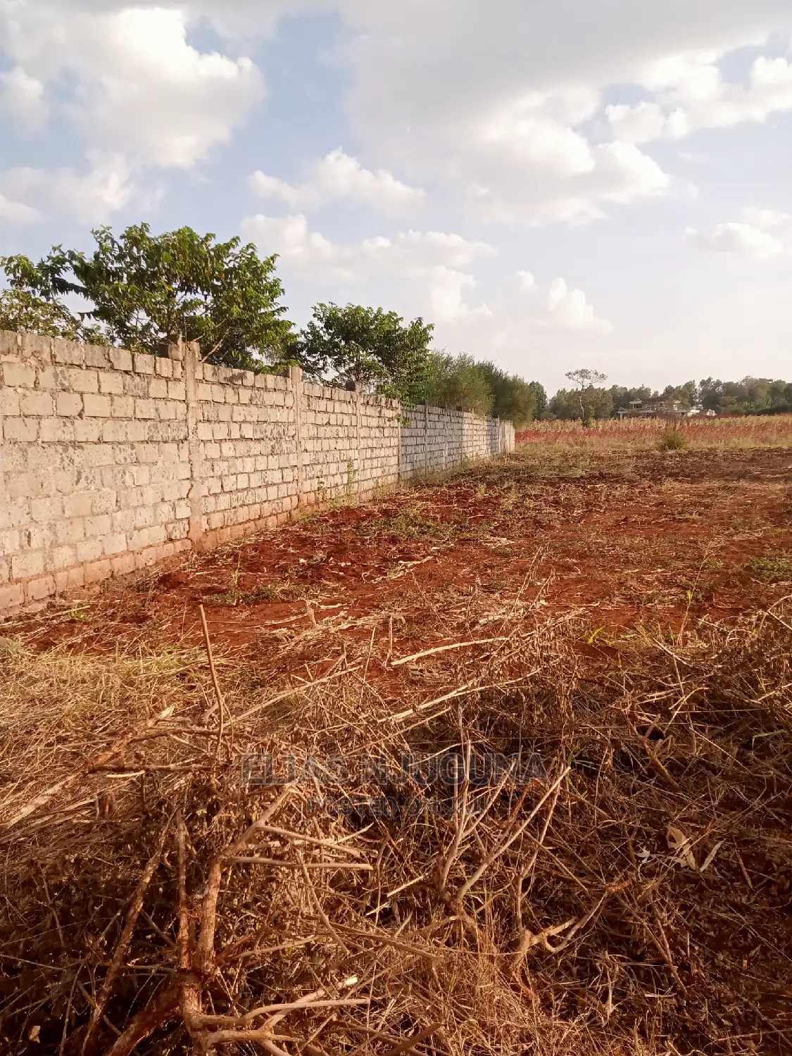 Kiambu Road 1/2acre : Green Valley Estate Price 18M , Title