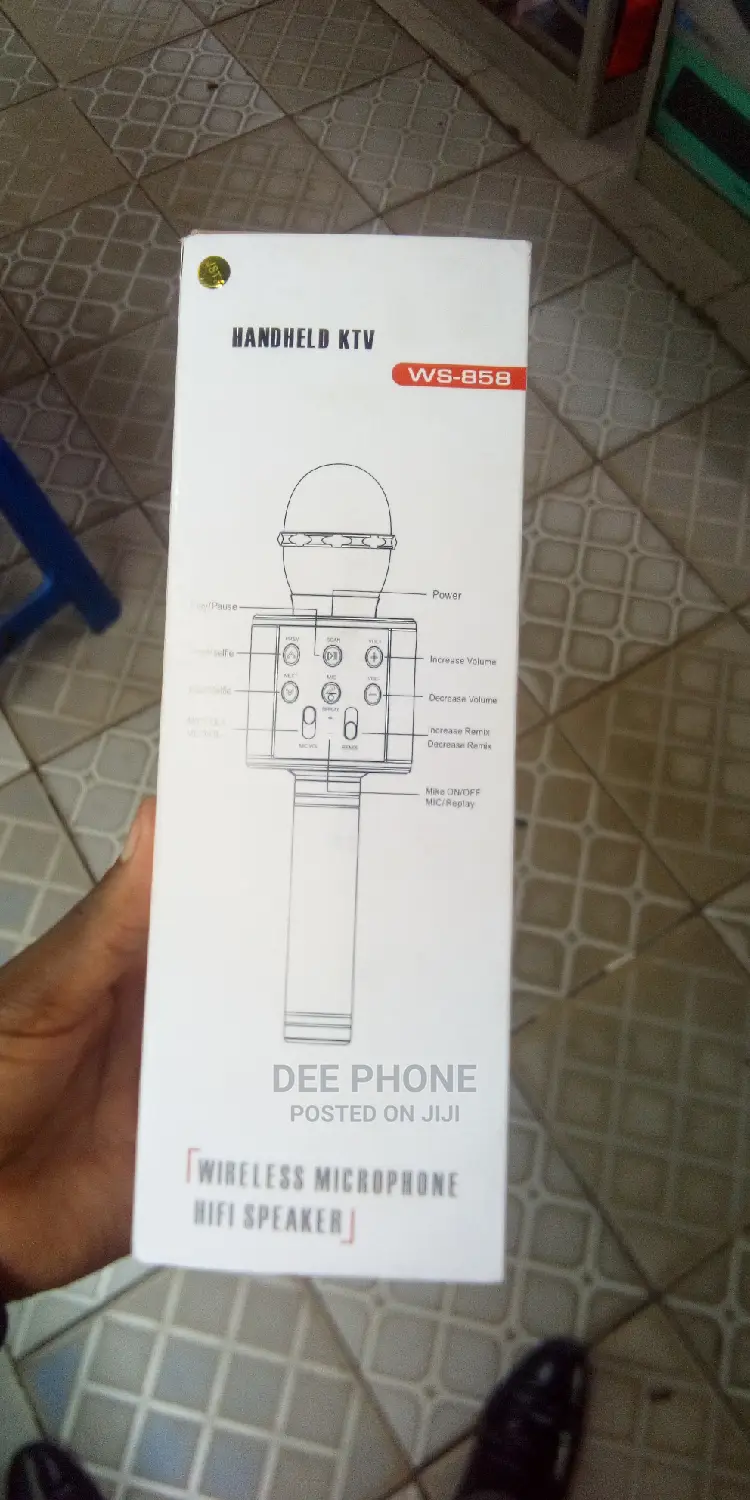 Karaoke Wireless Microphone