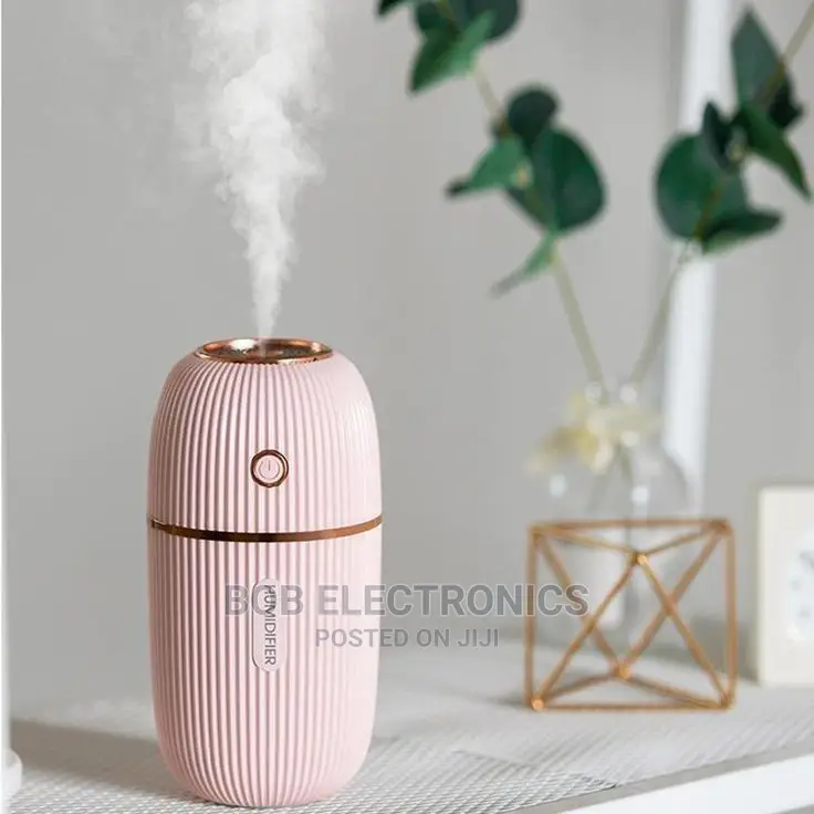 300mls Portable Humidifier For Home And Car