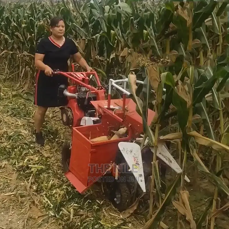 Corn Harvesting Ridge and Rotary Tiller