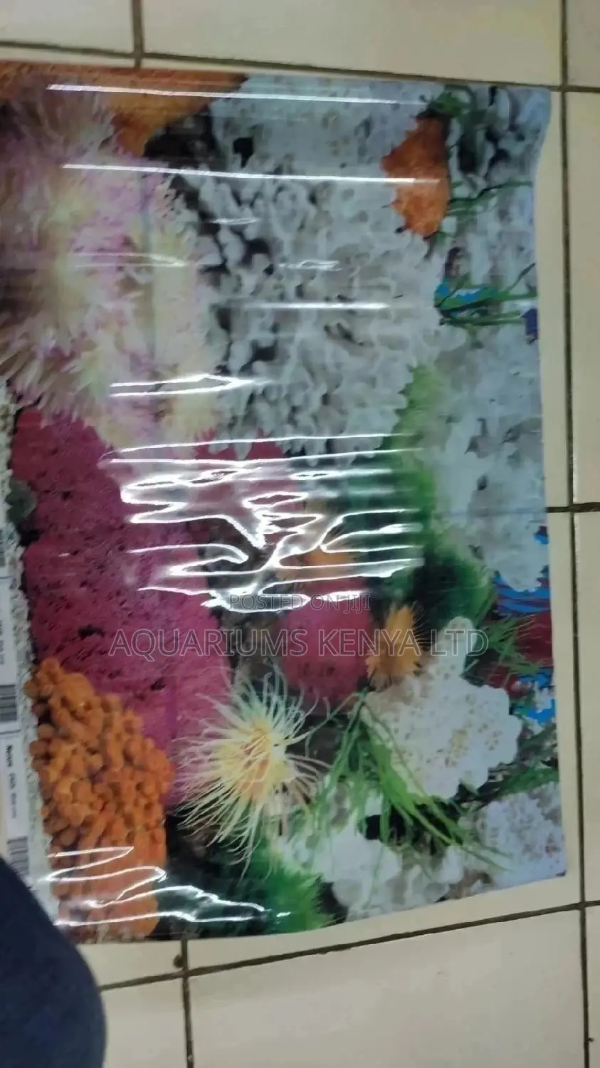 Colourful Background for Aquariums