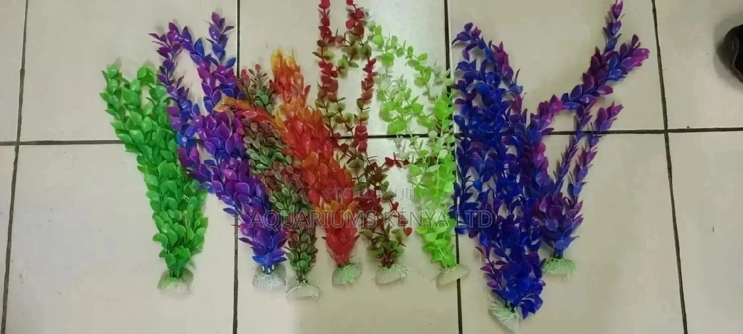 Assorted Colourful Plants