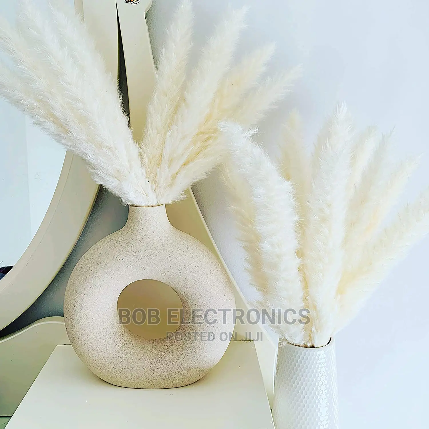 Decorative Pampas Grass