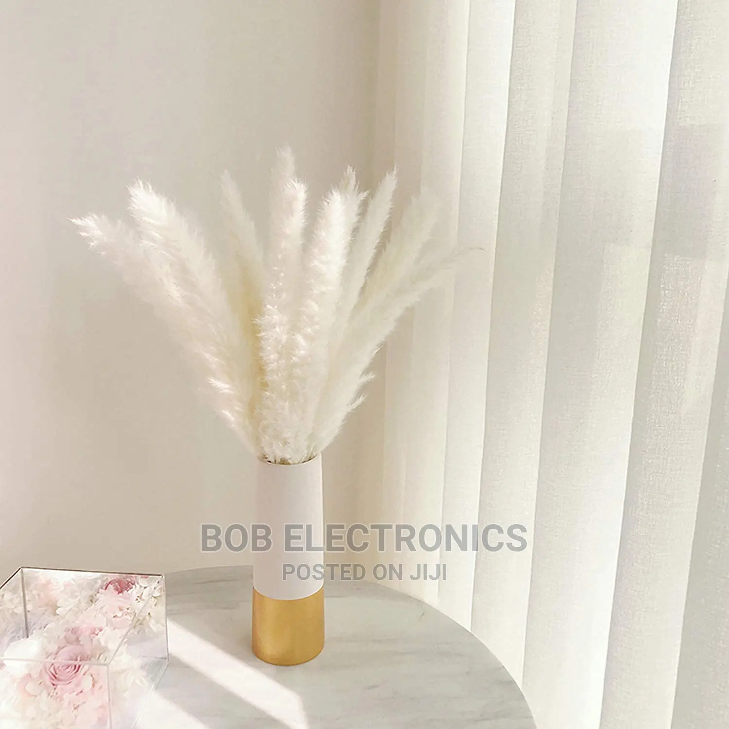 Decorative Pampas Grass