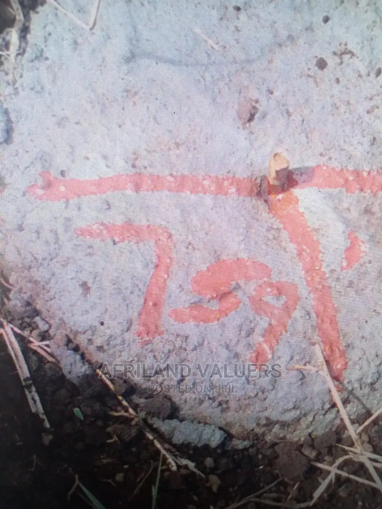 1/4 Plot for Sale in Kabarak