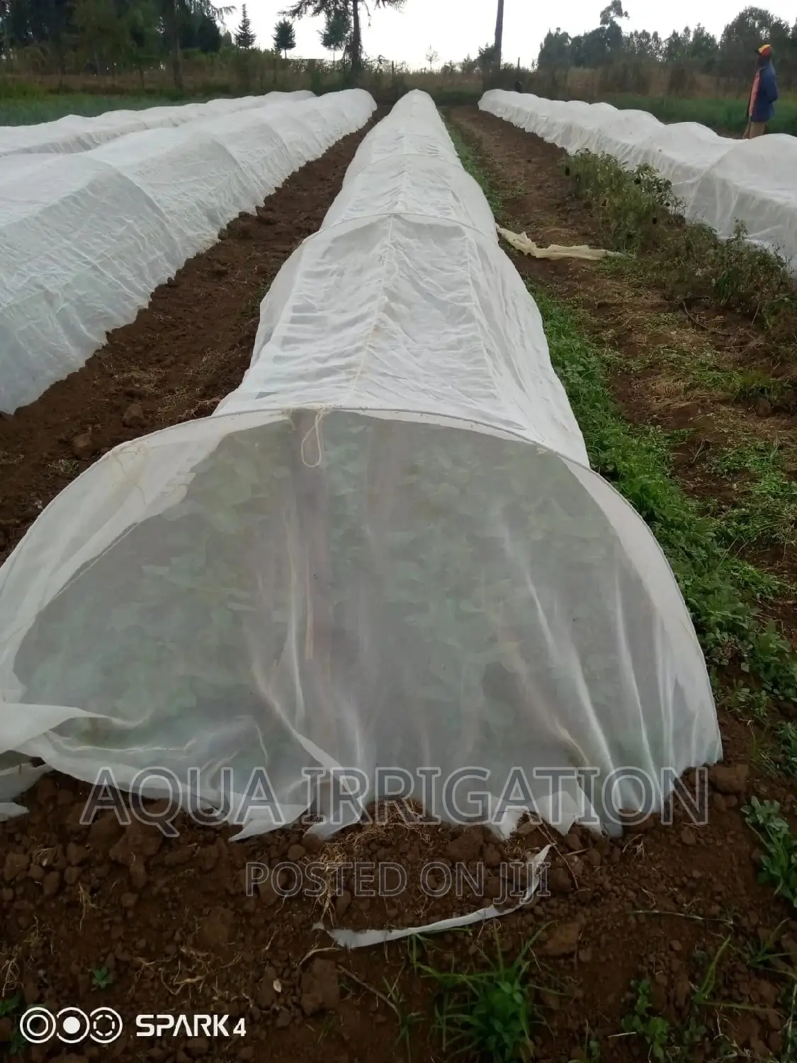 Insect Net Measurements 2.5×50/• 5.5×50
