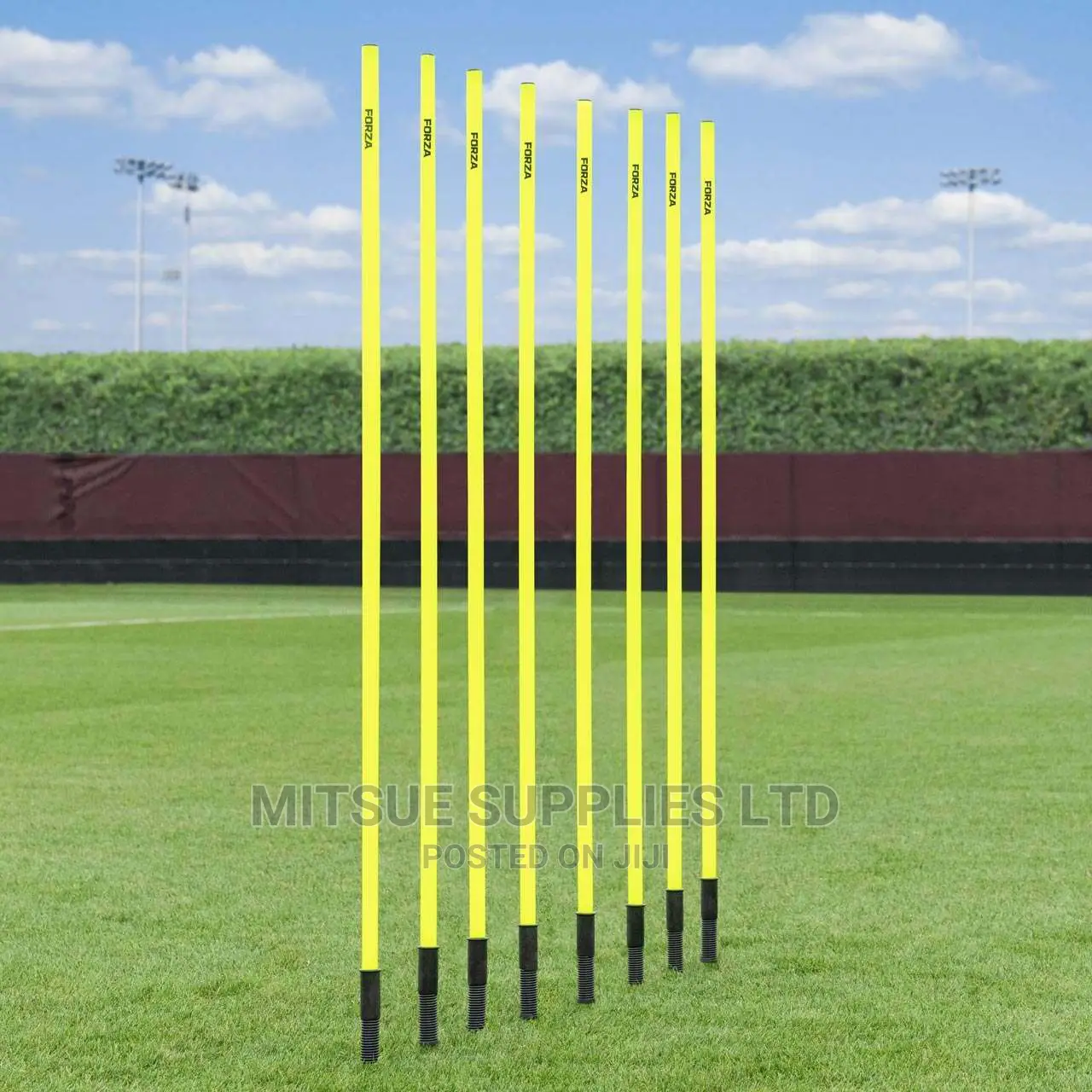 A Set of 12 Telescopic Training Slalom Poles With Bag