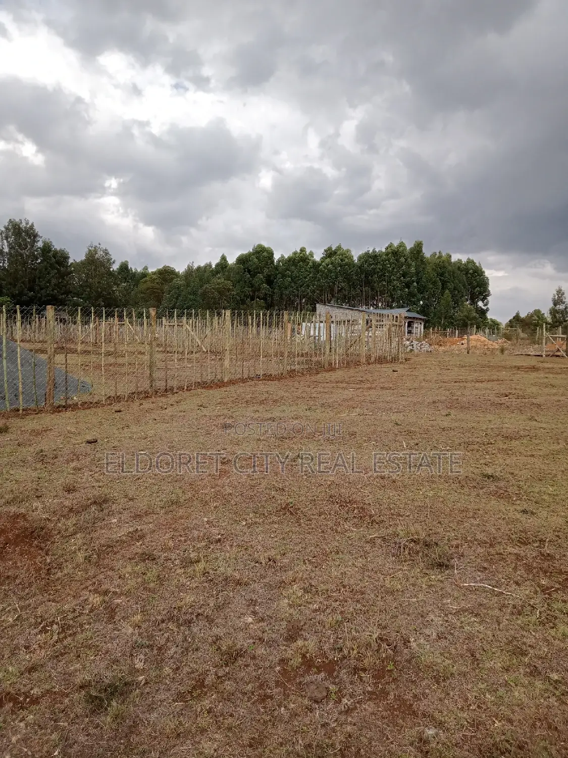1/8 Plots Kapseret With Titles