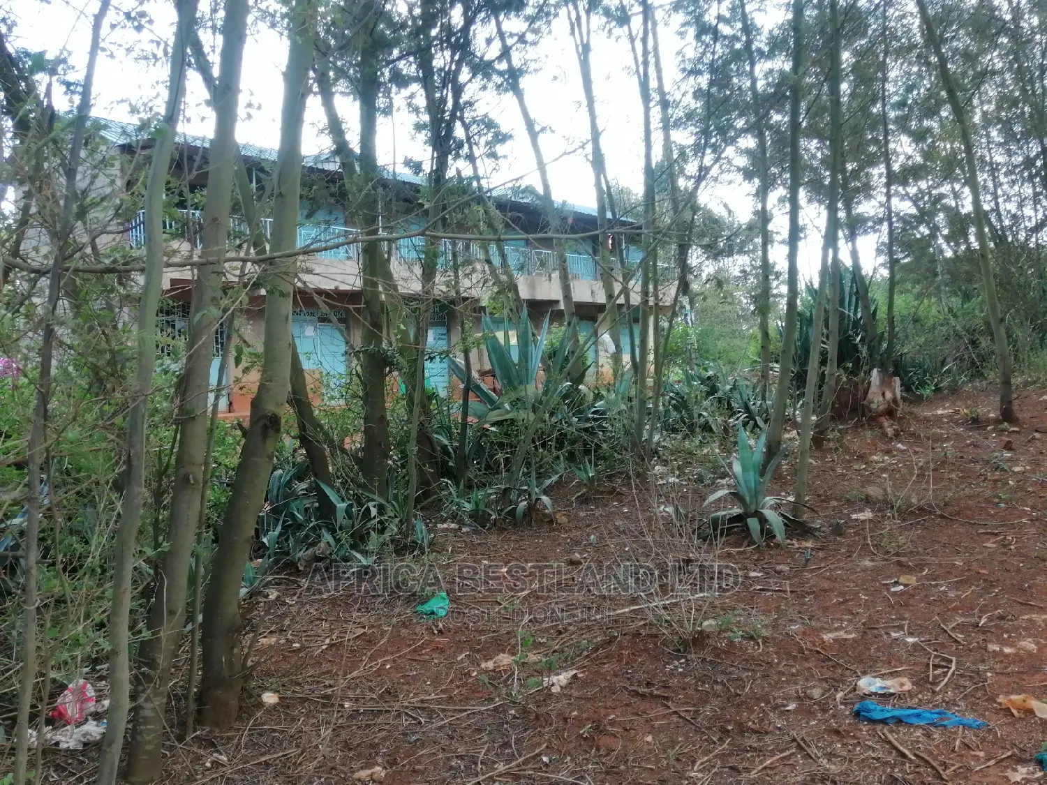 50x100 X100 Residential Plot for Sale in Kikuyu Ondiri