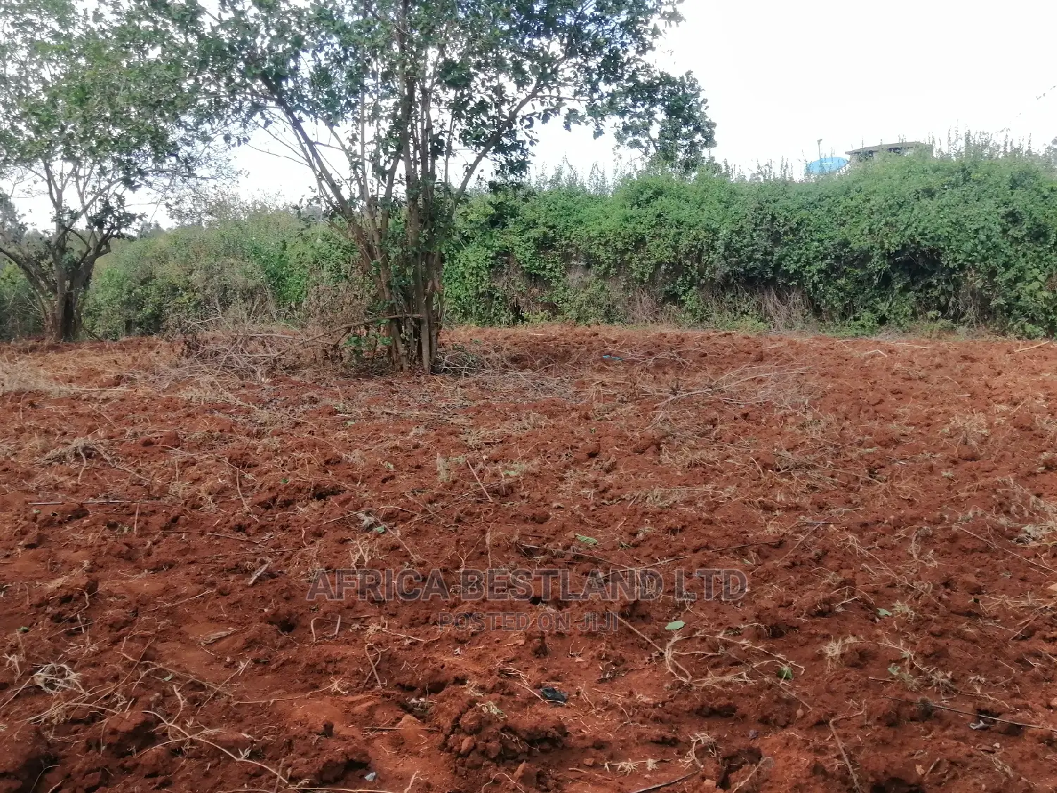 50x100 X100 Residential Plot for Sale in Kikuyu Ondiri