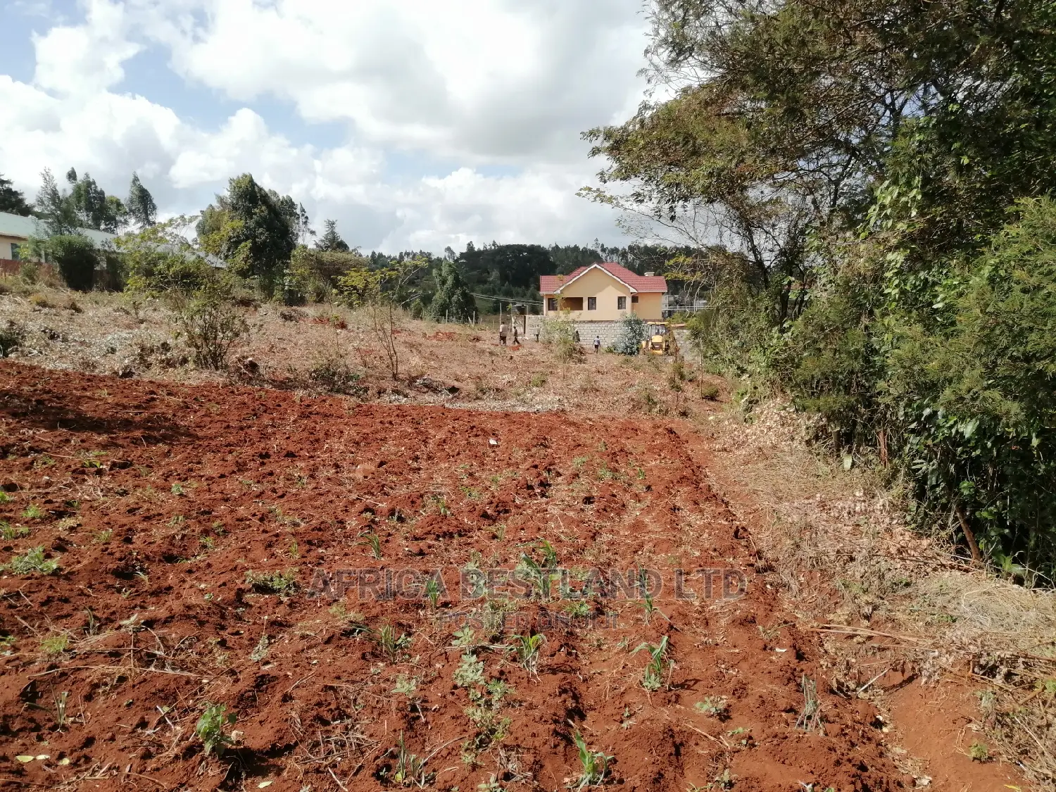 50x100 X100 Residential Plot for Sale in Kikuyu Ondiri