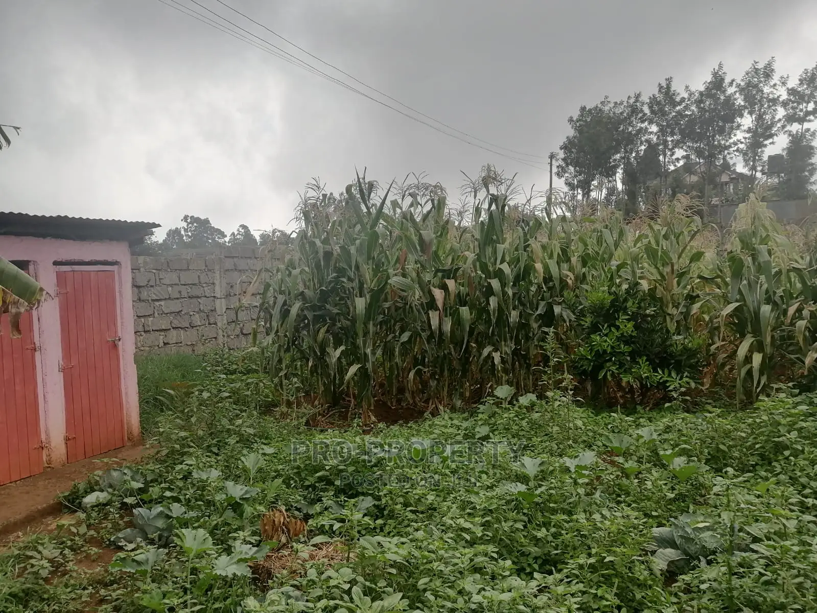 Plot in Kikuyu, Gikambura.