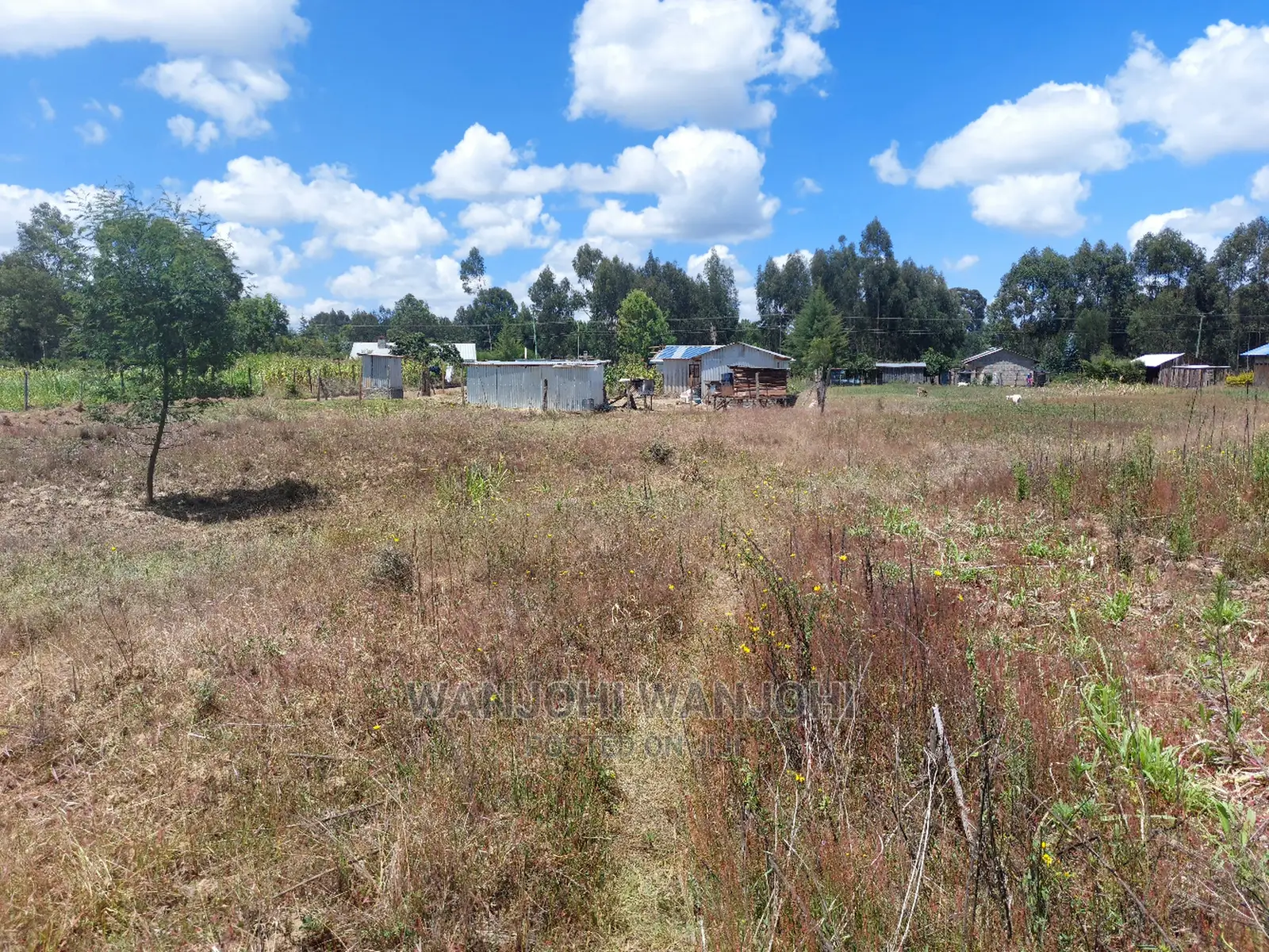 Prime Plots 150 Meters From Highway