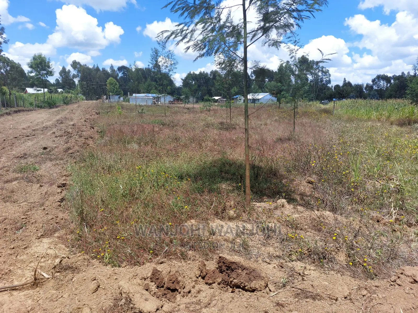 Prime Plots 150 Meters From Highway