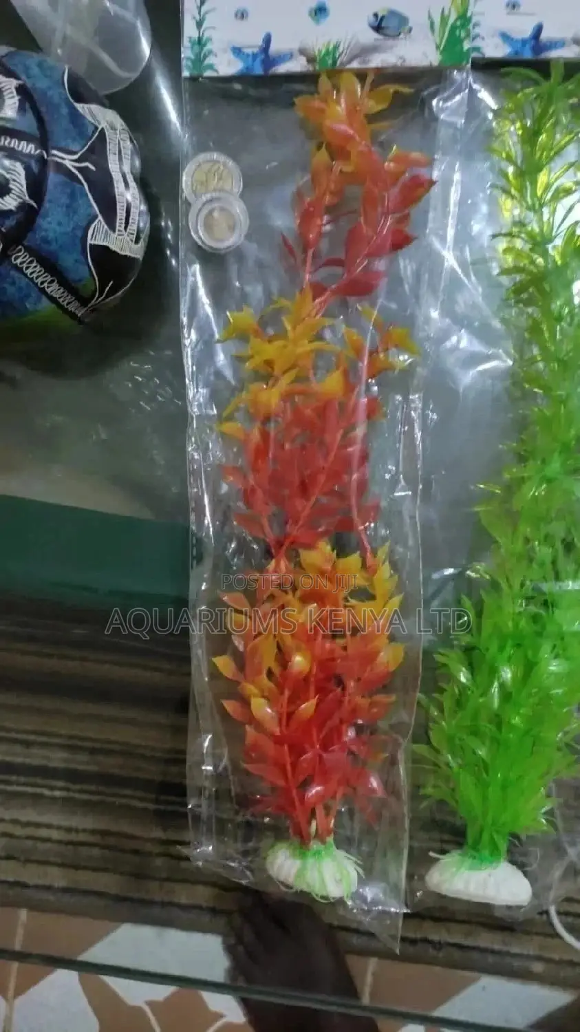 Multi Colored Orange Plastic Plants