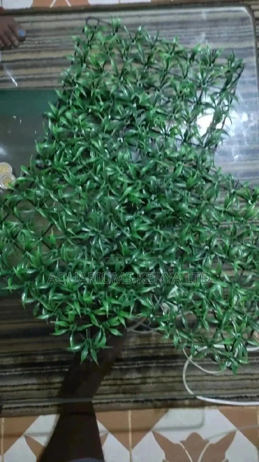 Matt Made of Plastic Plants
