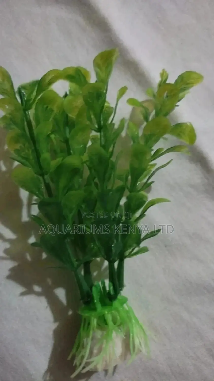 Fantastic, Attractive Plastic Aquarium Plants