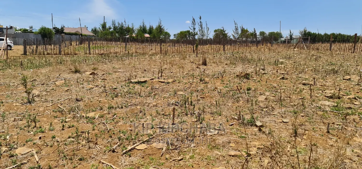Prime 1⁄4 Plot for Sale in Kipkorgot Eldoret