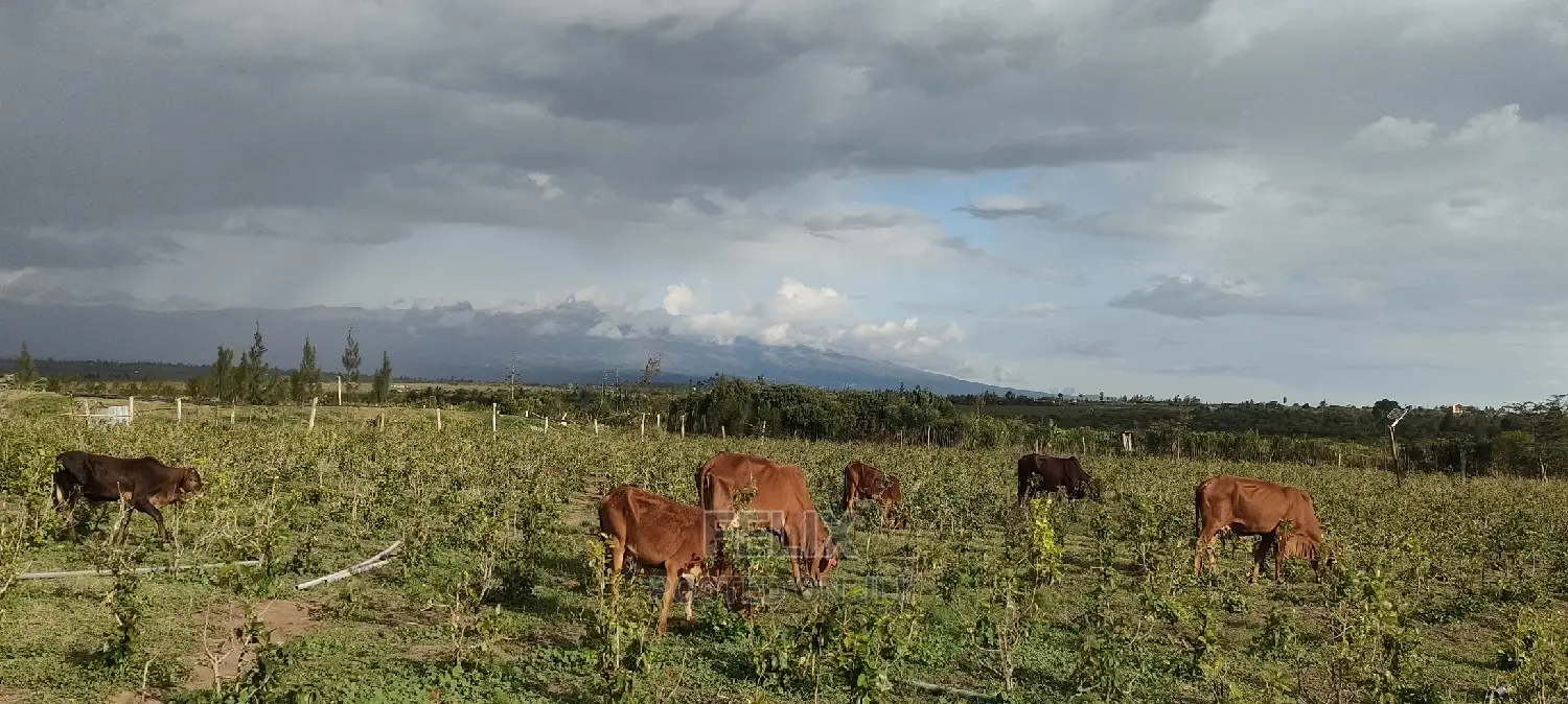 8 .5 Acres Nanyuki/Muramati