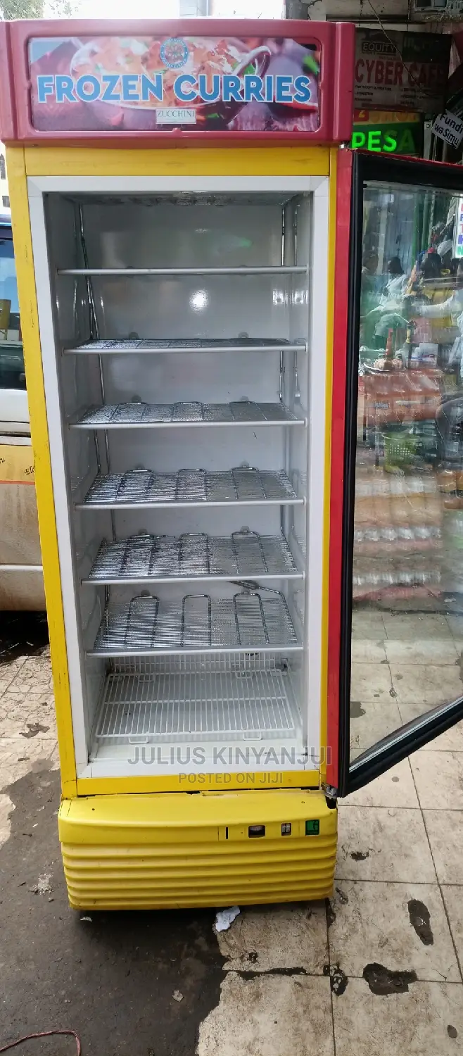 Standing Display Freezer