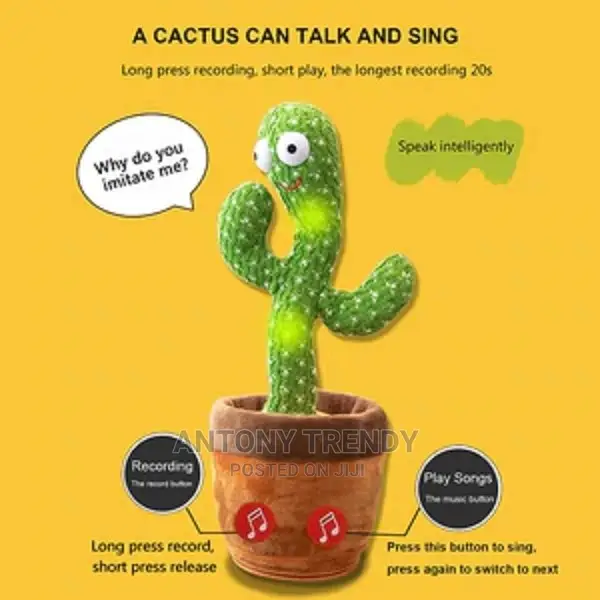Christmas Dancing Cactus Toy.