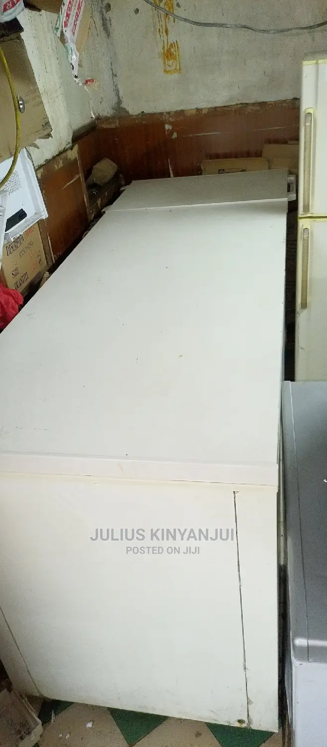 Deep Freezer 800L