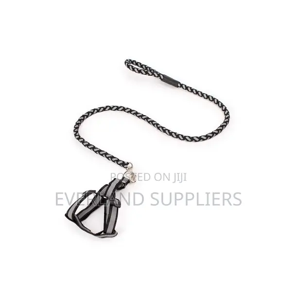 Reflective Dog Leash And Harness