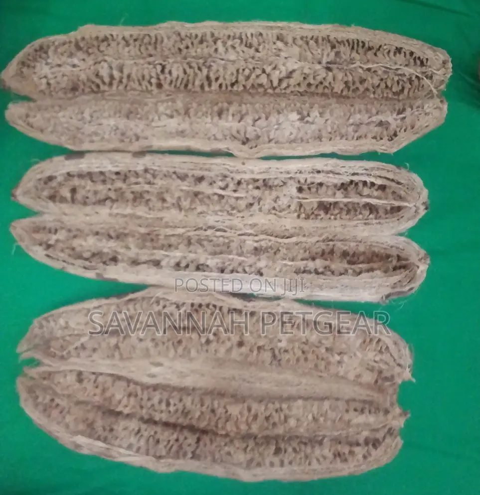 Dried Miratina Fruits Kigelia Africana Sausage Tree Fruits - Per Fruit