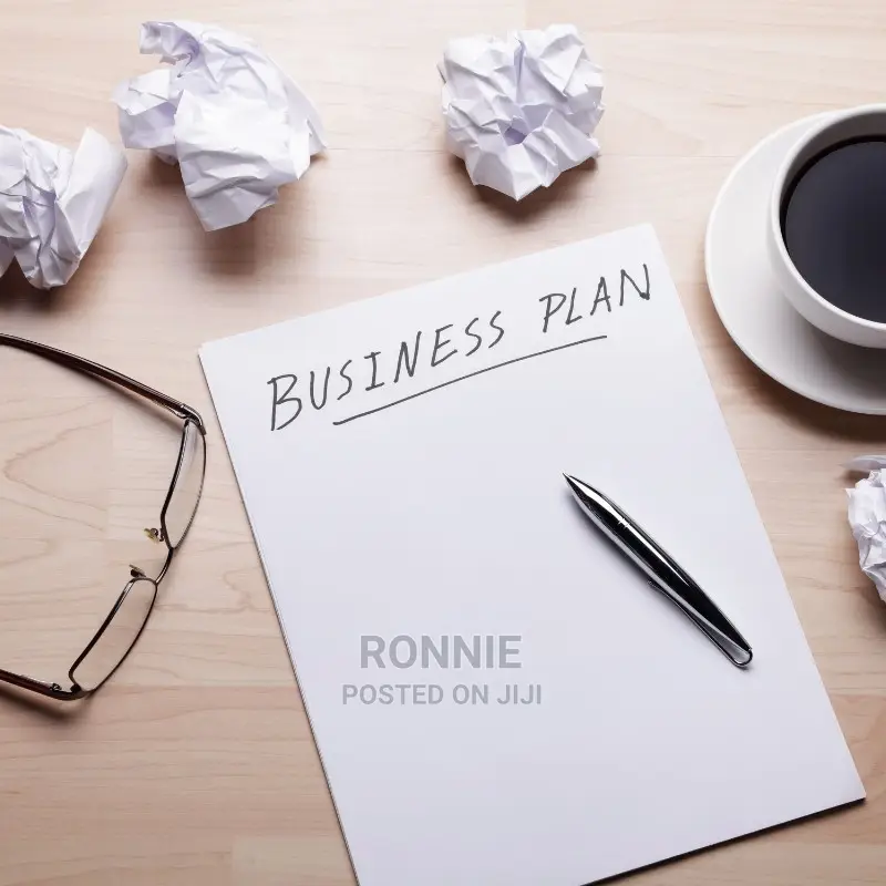 Business Plan Writing and Development W/ Financials