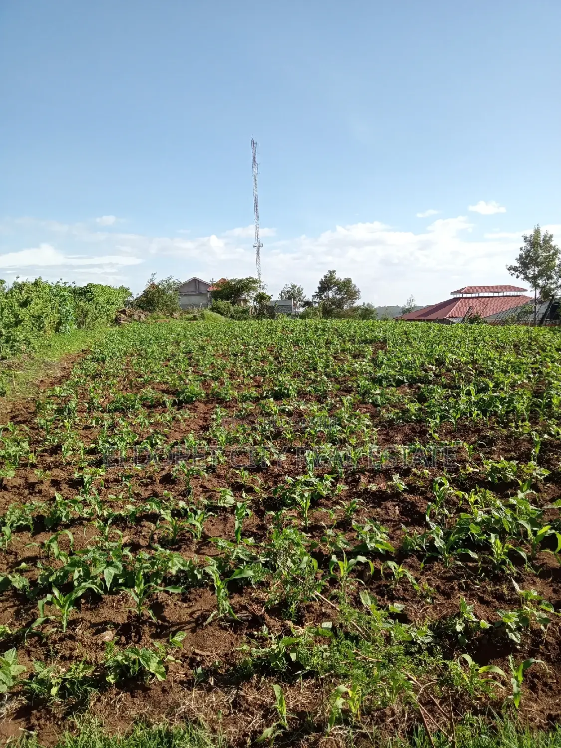 1/4 Plot Kipkorgot Near Catholic Church