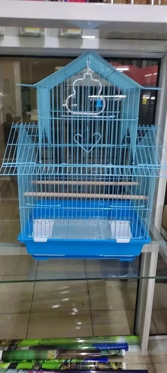 Cage, Blue Bird Cage