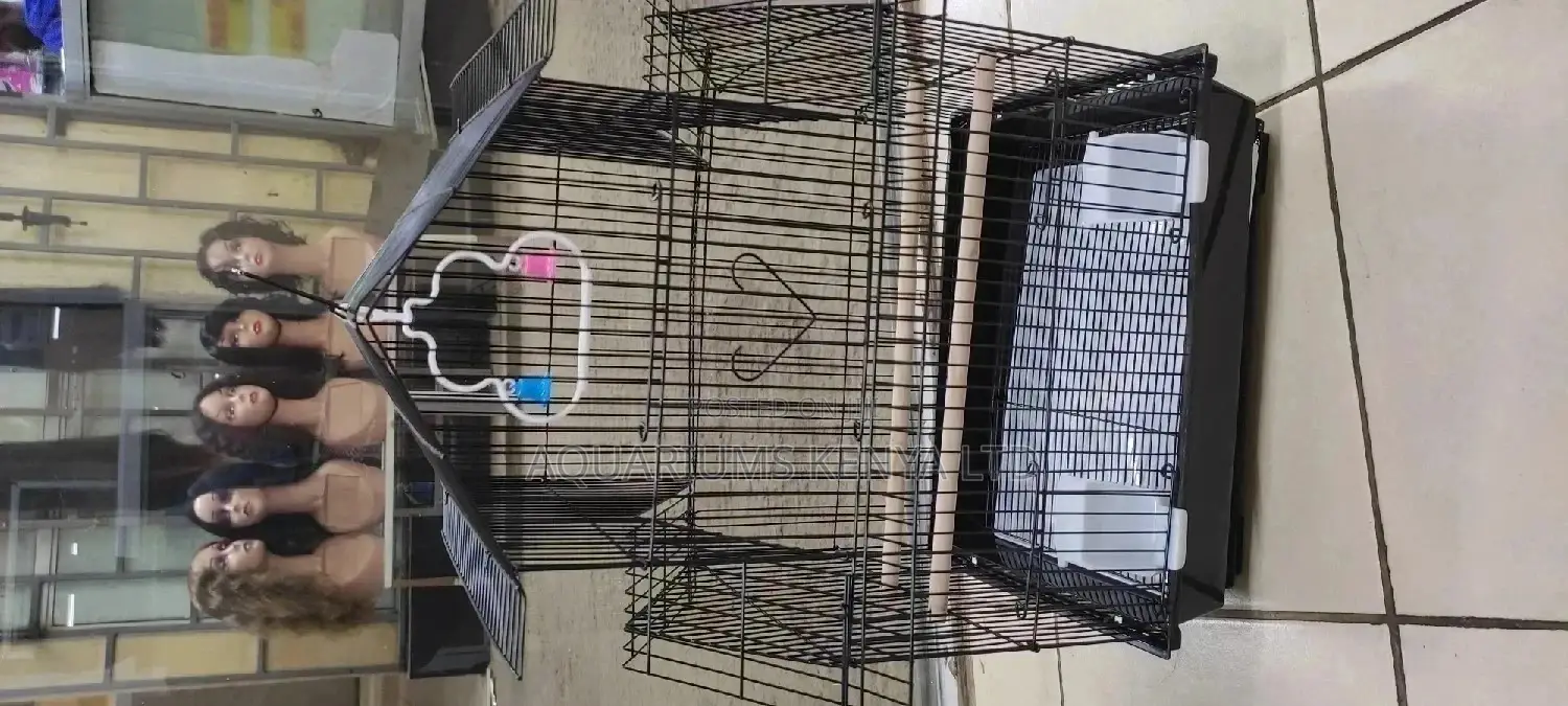 Bird Cage for Small Parrots