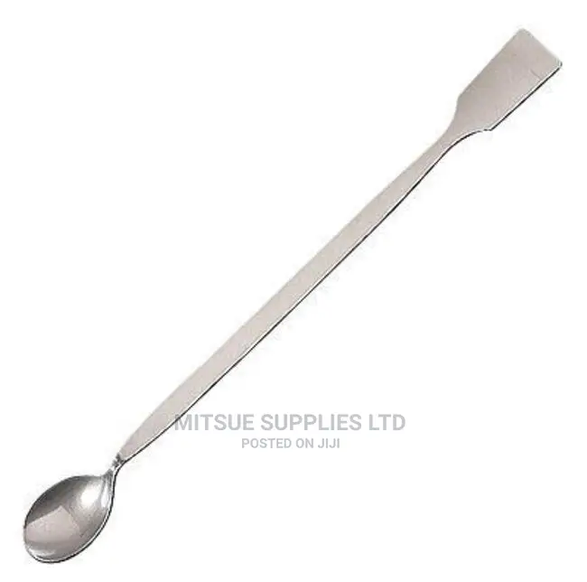 A Set of 10 Spatula Stainless Spoon- 6 Inch