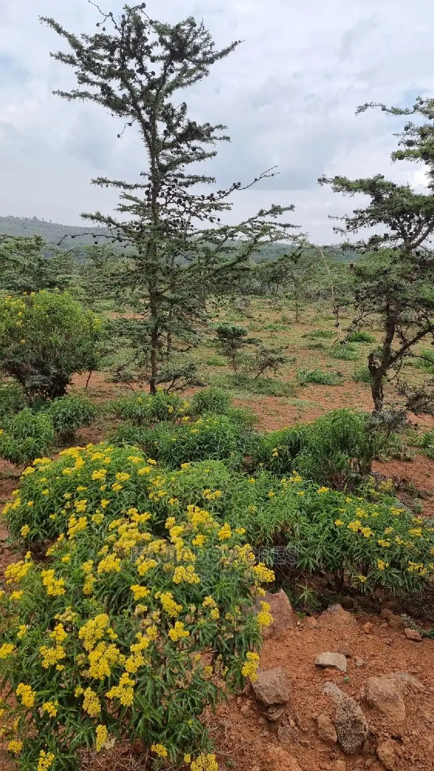 Prime 10 Acres Kimuka Distress Sale at 4m Per Acre