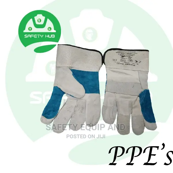 Leather Gloves/Approved