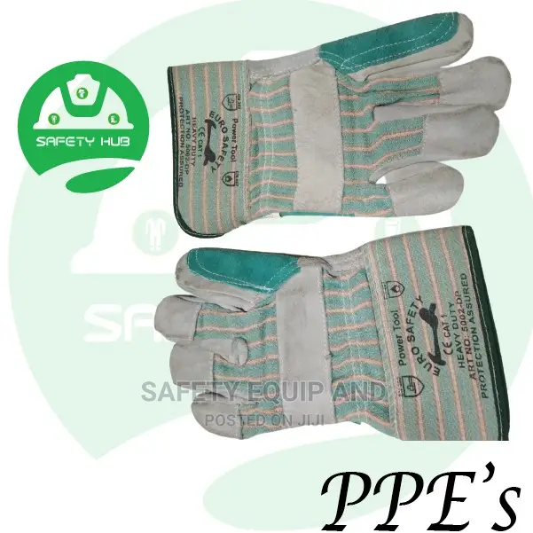 Leather Gloves/Approved