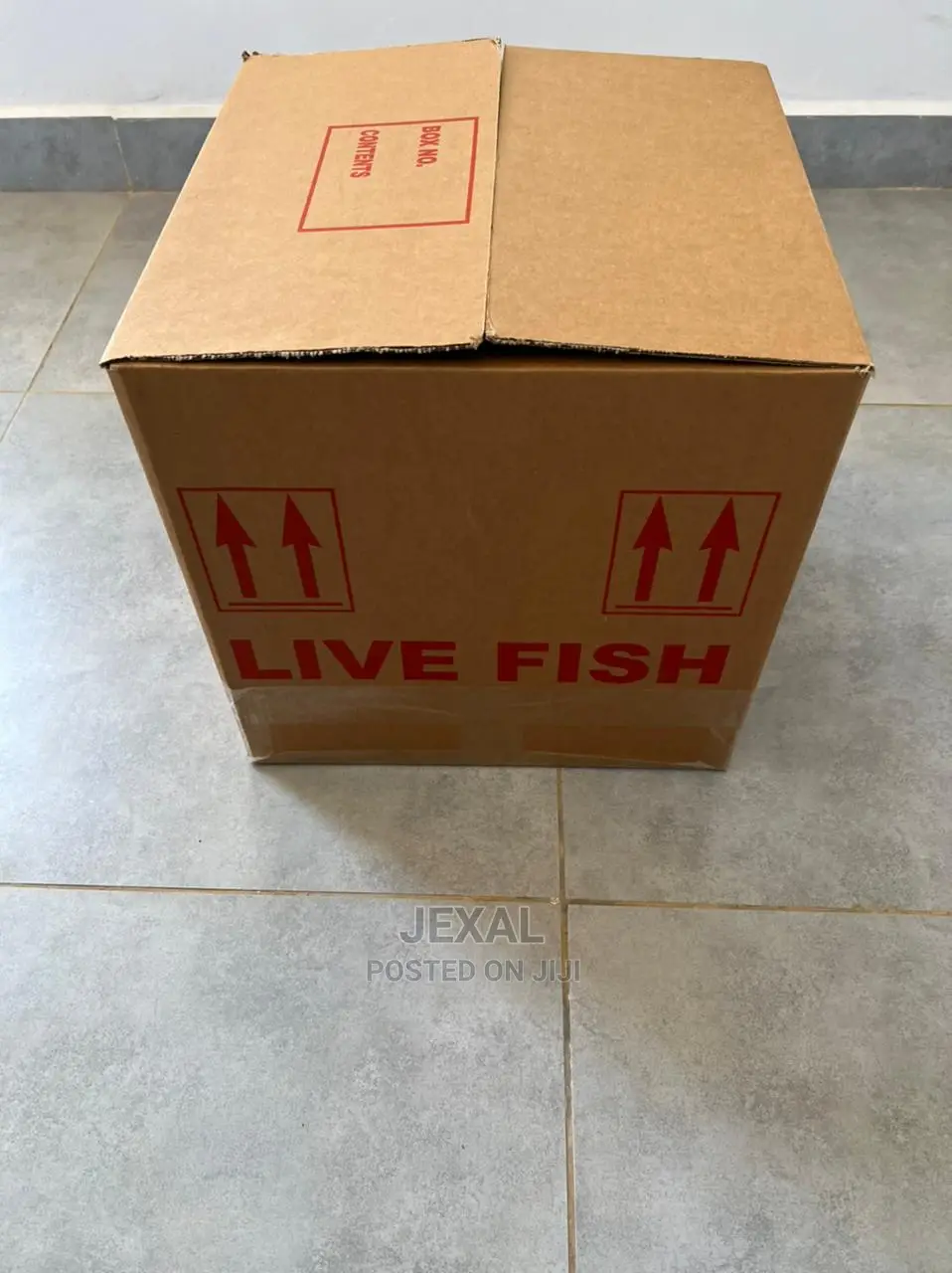Five Ply and Three Ply Boxes