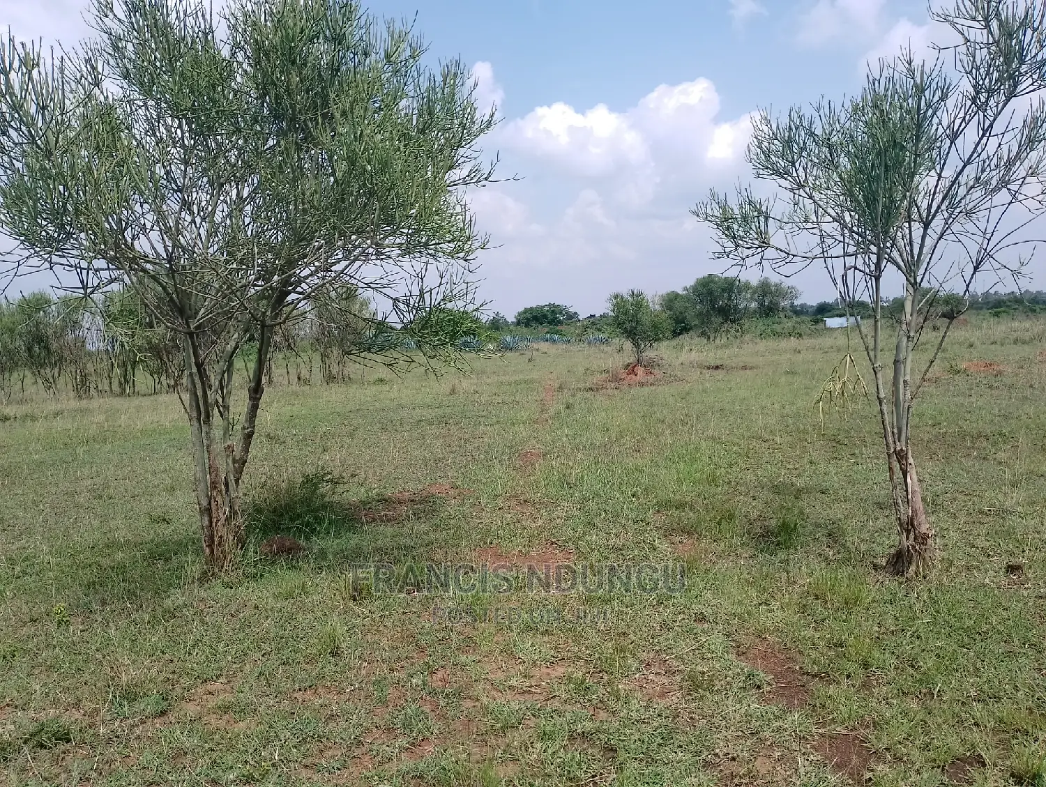 Residential Plots for Sale Ruiru Twiga Estate.