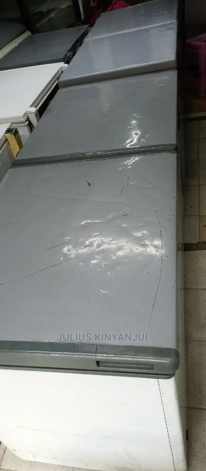 Double Door Freezer