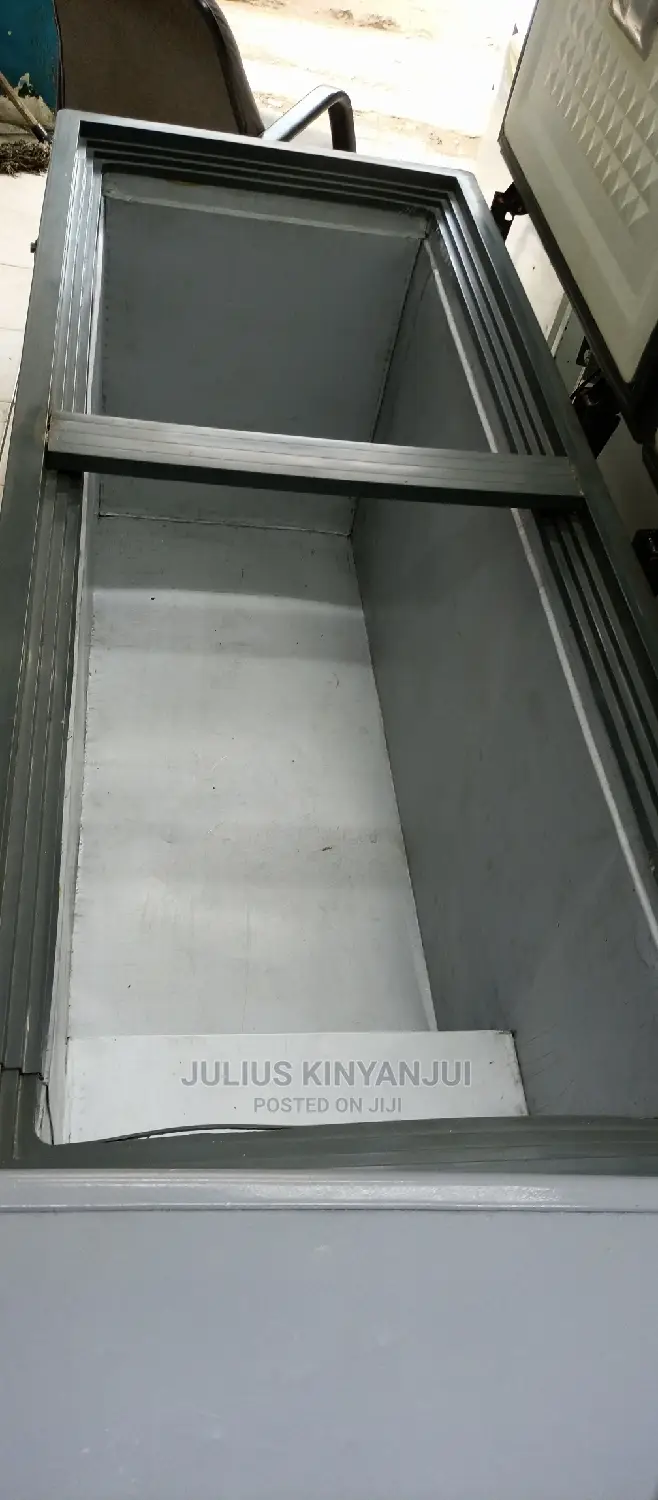 Double Door Freezer