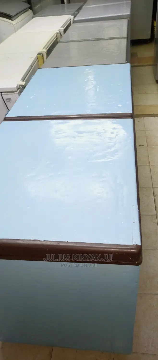 Double Door Freezer