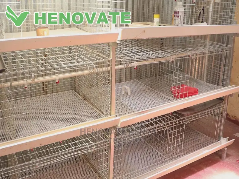 IMPROVED KIENYEJI/Broiler Cage