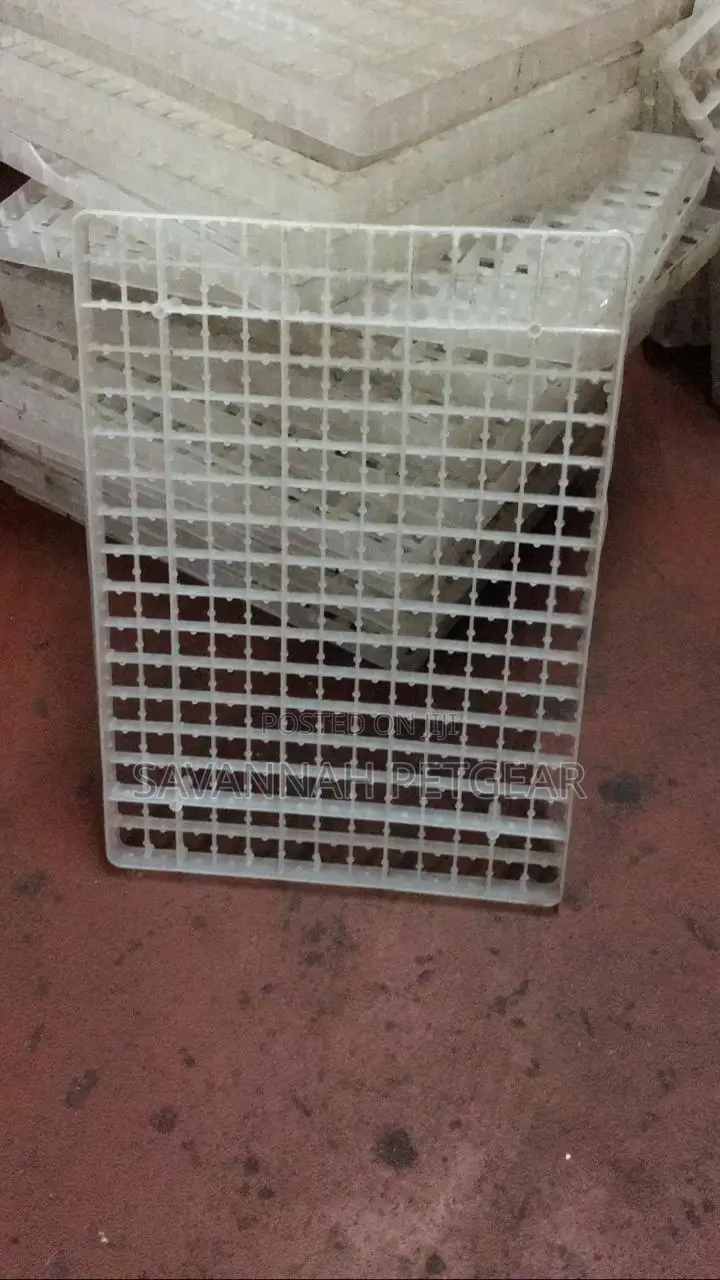 221 Quail Eggs Incubator Setter Trays