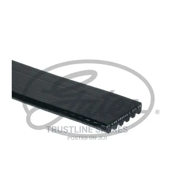 Audi A3/Vw Golf,Tiguan, Jetta, Passat v-Belt Gates 6PK1113 .