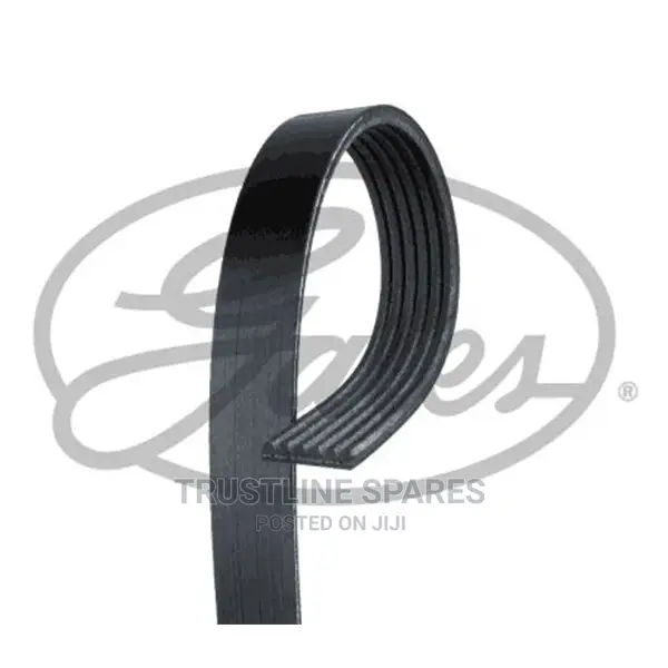 Audi A3/Vw Golf,Tiguan, Jetta, Passat v-Belt Gates 6PK1113 .
