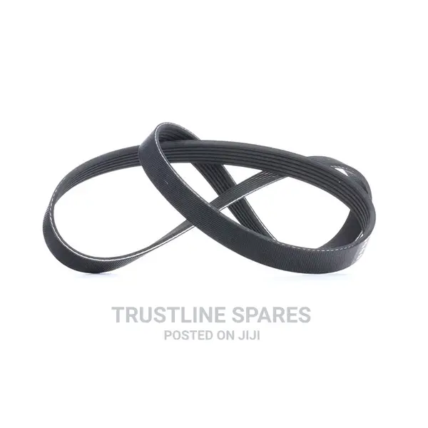 Audi A3/Vw Golf,Tiguan, Jetta, Passat v-Belt Gates 6PK1113 .