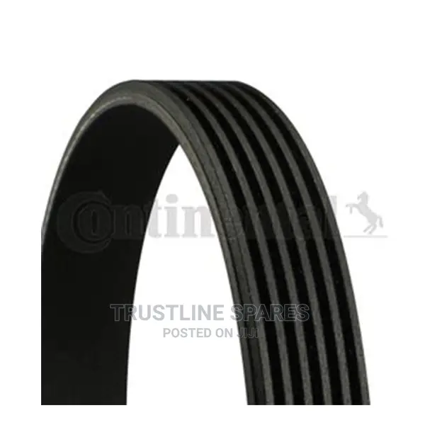 Audi A3,VW Golf,Touran,Passat, Ribbed v-Belt-Contitech.