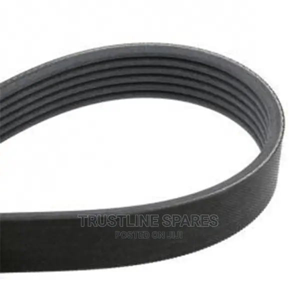 Audi A3,VW Golf,Touran,Passat, Ribbed v-Belt-Contitech.