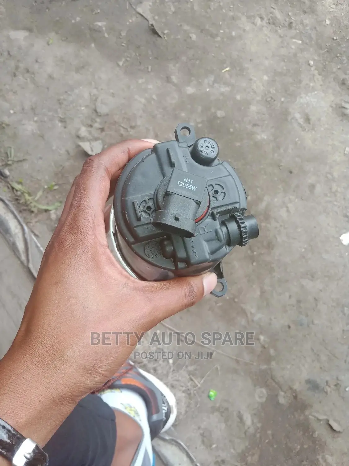 Axio/Fielder/Vitz Foglight